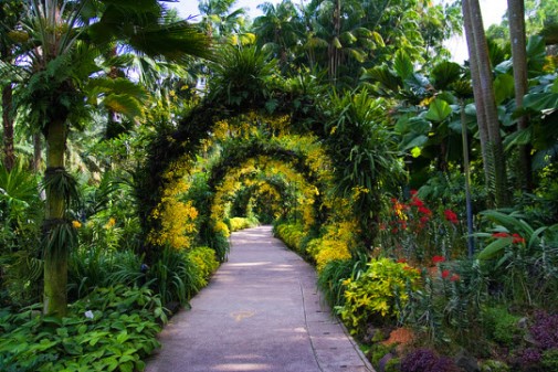 Фотография: Сад орхидей. Ботанический сад Сингапура (Singapore Botanic Garden), фото 2