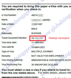 Проверка визы в Сингапур на подлинность
