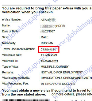 singapore visit visa validity